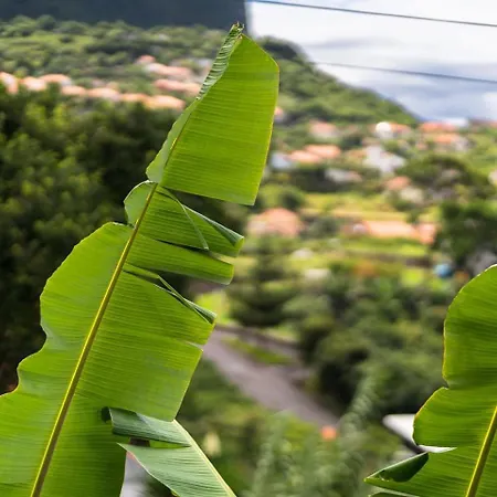 Guestready - Quinta A Lealdade 3* Arco de São Jorge